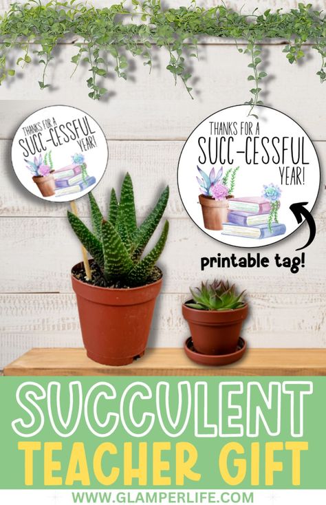 Back To School Plant Gift, Teacher Appreciation Succulent Printable, Succulents Teacher Appreciation, Teacher Succulent Gift Tag, Thank You Plants Appreciation Gifts, Aloe Vera Plant Teacher Gift, Teacher Succulent Quotes, Succulents For Teacher Appreciation, Succulent Thank You Tags