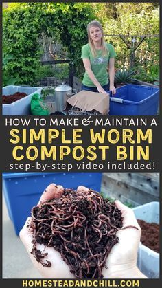 Vermicomposting Worm Farm, Worm Farm Diy, Worm Composting Bin, Compost Bin Diy, Compost Bins, Worm Bin, Diy Compost, How To Make Compost, Compost Soil