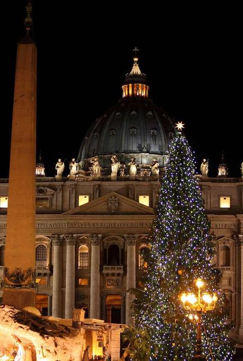 The Vatican at Christmas: all you need to know to plan your visit - Mama Loves Rome Italian Christmas Traditions, Christmas In Rome, Christmas In Italy, Saint Peter Square, Christmas Destinations, Christmas In Europe, Italian Christmas, Italian Culture, Vatican City