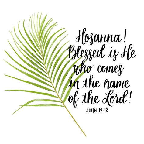 Blessed Is He Who Comes In The Name, Hosea 11:8-9, John 12 13, John 12:13 Palm Sunday, John 17:20-23, Encouragement Box, John 12, John 17:17 Scriptures, Inspiring Pics