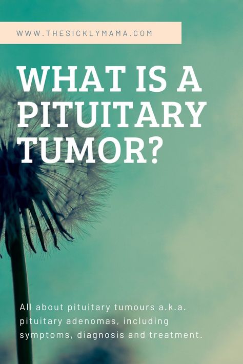 Pituitary Adenoma, Pituitary Gland Tumor, Pituitary Tumor, Parathyroid Disease, Brain Tumors, Pituitary Gland, Surgery Recovery, Health Nut, Hormone Levels