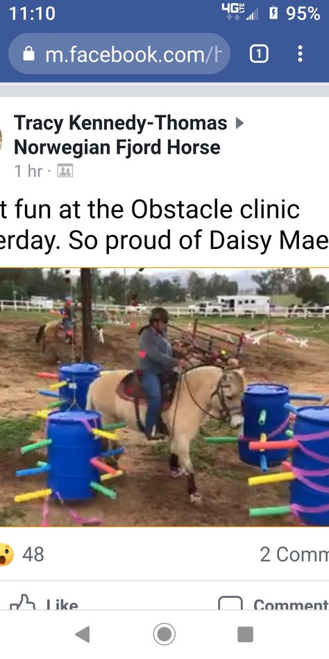 Farm Obstacle Course, Trail Obstacles For Horses, Trail Horse Obstacles, Horse Obstacle Course Ideas, Sensory Trail, Horse Obstacles, Riding Ideas, Horse Training Exercises, Horse Farm Ideas