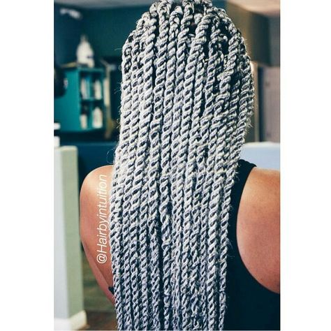 Grey Senegalese Twist anyone??? Hairbeat.net Gray Twists Braids Silver Hair, Sengalese Twists Medium Large, Grey Senegalese Twist, Grey Marley Twist, Senegalese Twist Large, Black And Grey Senegalese Twist, Senegalese Twist Styles, Bob Haircut Ideas, Flat Twist Updo