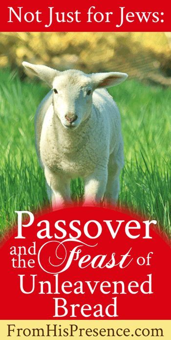 Passover and the Feast of Unleavened Bread | FromHisPresence.com Passover Meals Traditional, Passover Bread, Passover Lamb Recipe, Passover Meal, Unleavened Bread, Feast Of Unleavened Bread Meals, Feast Of Unleavened Bread Recipes, Happy Feast Of Unleavened Bread, Messianic Passover