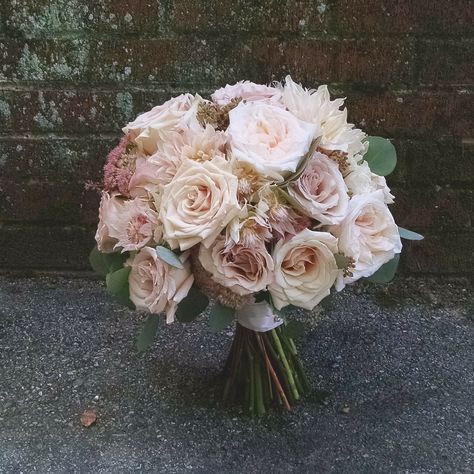 Blush and dusty rose bridal bouquet. Quicksand, Sahara and White O'Hara roses. Flowers by Tami, Chattanooga TN Desert Rose Bridal Bouquet, Desert Rose Bouquet, Quicksand Rose Bouquet, Dusty Rose Bridal Bouquet, Dusty Rose Bouquet, Bride Bouquet Pink, Quicksand Rose, Realistic Wedding, Green Wedding Cake