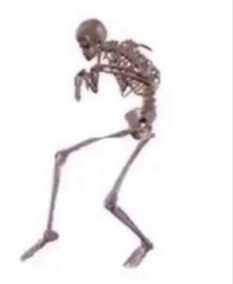 Online Quiz, Skeleton Halloween, Reaction Images, Reaction Memes, Reaction Pics, Tattoo Artist, Reaction Pictures, Mood Pics, Skeleton