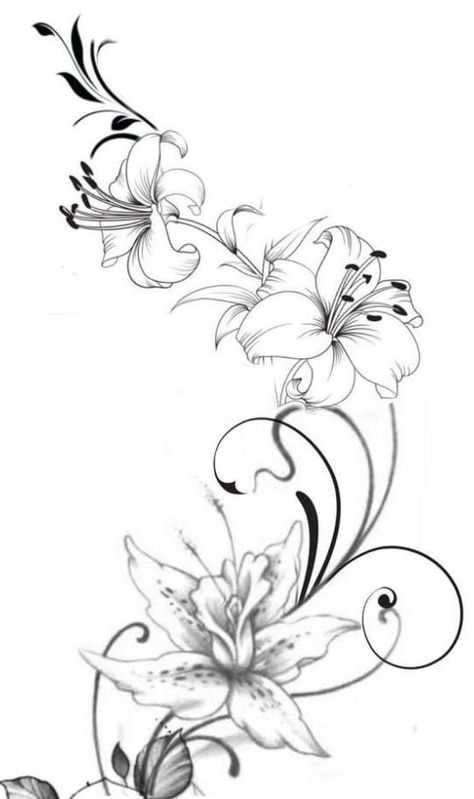 Flower Arm Sleeve Tattoo, Lilly Flower Tattoo, Rose Vine Tattoos, Flower Vine Tattoos, Swirl Tattoo, Lillies Tattoo, Lily Tattoo Design, Lily Flower Tattoos, Flower Tattoo Drawings