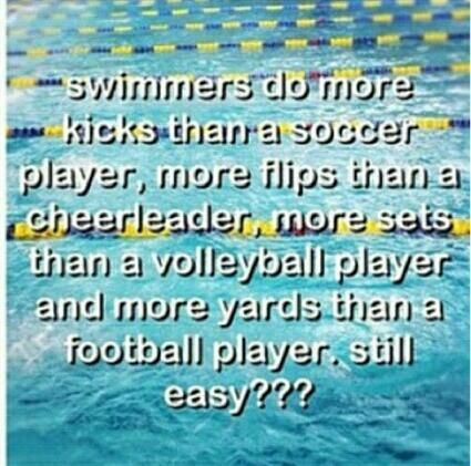 Swimming is a love/hate sport.  Every second of every practice the words 'I hate this' will be thought. Yet as soon as you have to sit out one practice all you want to do is jump in the water and SWIM Volleyball Summer, Swimmer Memes, Swimmer Quotes, Swimmer Girl, Swim Quotes, Sports Gymnastics, Swimming Jokes, Swimming Funny, Swimming Motivation