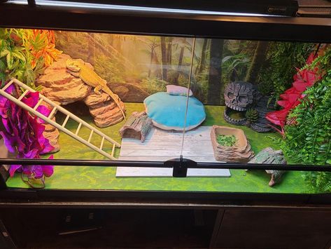 Beardie Tank, Leopard Gecko Setup, Diy Bearded Dragon Enclosure, Reptile Tanks, Bearded Dragon Terrarium Ideas, Paul Blart, Dragon Terrarium, Bearded Dragon Diy, Bearded Dragon Terrarium