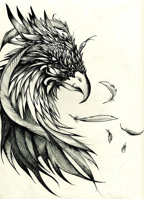 crow tattoo design | arnaud montebourg blog: Crow Tattoos Designs and Meaning Phoenix Head Tattoo Design, Bird Head Tattoo, Phoenix Head Tattoo, Raptors Tattoo, Men’s Pheonix Tattoo, Large Phoenix Tattoo, Masculine Pheonix Tattoo, Phoenix Head, Huge Phoenix Tattoo