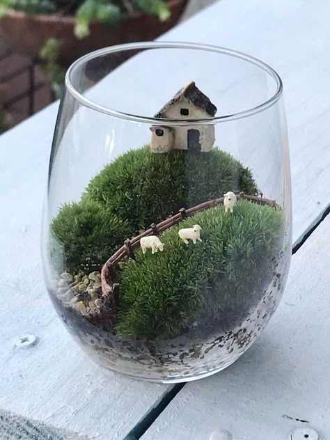 Paint Kitchen Appliances, Aesthetic Witch Costume, Different Vibes, Boho Kitchen Ideas, Beautiful Terrariums, Mini Terrarium, Bohemian Kitchen, Paint Kitchen, Deco Nature