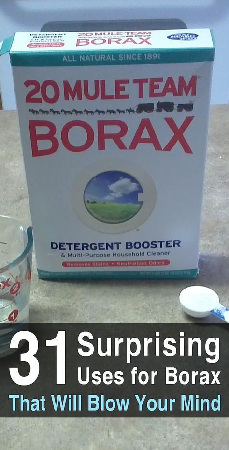 Uses For Borax, Borax Uses, Clean Hacks, Homemade Toilet Cleaner, Clean Baking Pans, Cleaning Painted Walls, Deep Cleaning Tips, Household Cleaning Tips, Foto Tips