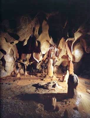 Gorges d'Ardeche and caves Indian Statues, Chauvet Cave, Prehistoric Cave Paintings, Ancient Europe, Cave Bear, Pinterest Art, Cave Art, Oldest Human, The Gorge