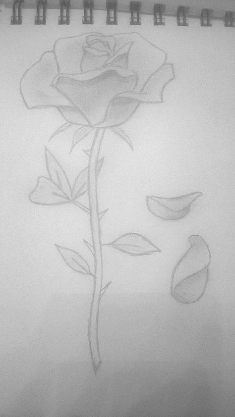 rose petals falling Rose With Petals Falling Drawing, Fallen Rose Petals Tattoo, Falling In Love Drawing Sketch, Rose Petal Tattoo Falling, How To Draw Rose Petals, Fallen Rose Petals Drawing, Rose Tattoo Petals Falling, Rose Petals Falling Drawing, Falling Petals Drawing