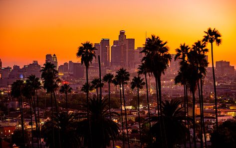 #city palm trees #sunset #building #skyscraper Los Angeles #landscape #1080P #wallpaper #hdwallpaper #desktop Los Angeles Wallpaper, California Wallpaper, California Palm Trees, Palm Tree Sunset, Sunset Background, California City, Sunset City, Beauty Wallpaper, Sunset Wallpaper