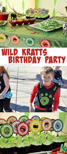 Wild Kratts Birthday Party, Wild Kratts Party, Dragon Birthday Parties, Pokemon Birthday Party, Wild Kratts, Minecraft Birthday Party, Kids Fans, Pokemon Birthday, Minecraft Birthday