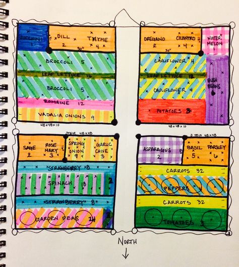 Zone 5 6 Wisconsin garden layout using companion theory and square foot theory Quarter Acre Garden Layout, Zone 5 Vegetable Garden Layout, Zone 5 Garden Plans, 10x20 Garden Layout, Zone 5 Garden Layout, Zone 6 Garden Layout, 20x20 Garden Layout, Beginner Garden Layout, Zone 5 Garden