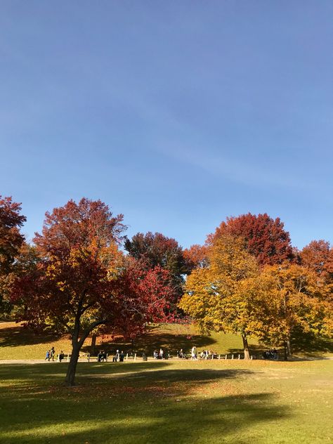 Boston Aesthetic Fall, Boston In The Fall Aesthetic, Fall In Massachusetts Aesthetic, Boston During Fall, Autumn In Boston, Autumn In Boston Aesthetic, Fall Boston, Boston Life, Boston Living