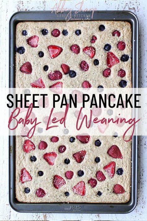 Blw Protein Ideas, Blw Snacks, Blw Breakfast Ideas, Baby Led Weaning Breakfast, Blw Recipes, Berry Pancakes, Weaning Foods, First Foods, Baby Led Weaning Recipes