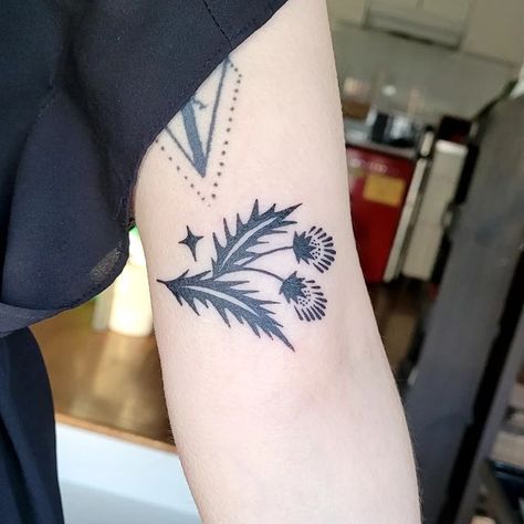 Icelandic Flower Tattoo, Art Nouveau Thistle Tattoo, Thistle Folk Art, Traditional Thistle Tattoo, Traditional Folk Tattoo, Irish Gaelic Tattoo, Small Floral Tattoo, Flower Tattoo Placement, Dainty Tats