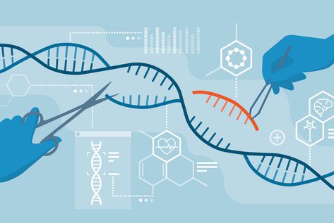 The advancements in genetic engineering, particularly with the advent of CRISPR-Cas9 technology, have opened a new chapter in biomedicine… Continue reading on Medium » Science Mural, Activities In School, Bio Project, Biology Project, Dna Project, Synthetic Biology, Gene Editing, Human Embryo, Survey Report