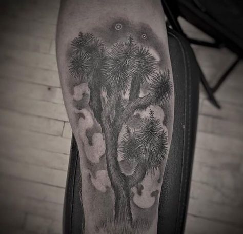 Joshua tree tattoo by Christina Ramos at Memoir Tattoo Joshua Tree Tattoo, Memoir Tattoo, Unique Tattoos Ideas, Tattoo Tree, Tree Tattoos, Tattoo Me, Traditional Tattoo Flash, Tree Tattoo, Unique Tattoos