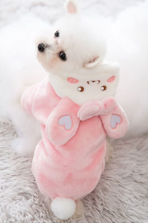 Pet Puppies With Clothes On, Dog Outfits Female, Pink Dog Clothes, Cute Dog Clothes For Females, Cute Dog Outfits, Cute Puppy Clothes, Costumes For Pets, Transformation Dress, Puppy Outfits