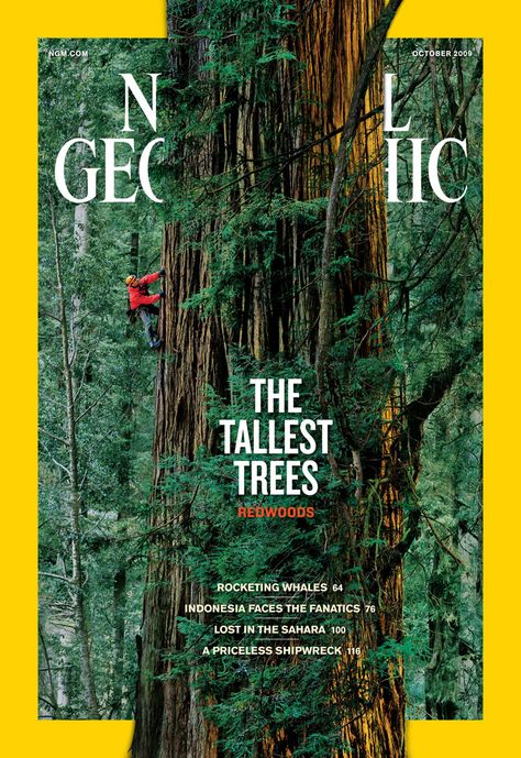 National Geographic Cover, National Geographic Photography, Outdoor Magazine, Desain Editorial, Theme Nature, National Geographic Magazine, Magazine Cover Design, Nature Posters, Magazine Layout