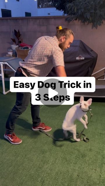 DogFather Dog Institute on Instagram: "🐶☝️Easy Dog Trick3️⃣🤓

Would you teach your puppy the Spin command? 

Follow to train the human so your dog gets more treats🐾

#puppytraining #dogtraining #dogtricks #dogtrick #spin #puppy #dog #dogsofinstagram #cutepuppy #dogtrainer" Tricks To Teach Your Dog, Dog Tricks Easy, Brain Games For Dogs, Dog Commands, Dog Tricks, Reactive Dog, Dog Brain, Dog Hacks, Behavior Problems