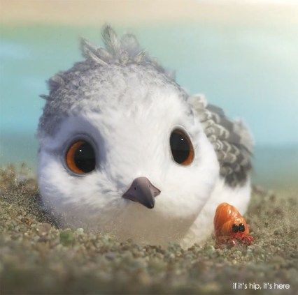 Pixar's Piper Animated Short tells the story of a baby Sandpiper who leaves the nest in search of food, only to be frightened by the ocean waves. Piper Pixar, Piper Bird, Pixar Shorts, Disney Shorts, Funny Birds, Pixar Movies, By The Ocean, The Nest, Disney Wallpaper