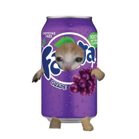 Grape Meme, Grape Fanta, Cat Crying, Ugly Cat, Gorillaz Art, Food Memes, Funny Pix, Silly Cats Pictures, Cat Costumes