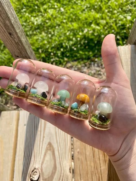 2023 Bedroom Decor, Tall Mushrooms, Mushroom Terrarium, 2023 Bedroom, Compact Mirror Vintage, Cottagecore Gifts, Mini Mushroom, Mushroom Crafts, Tiny Jars