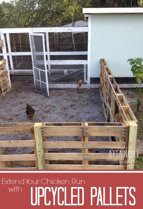 Recycle pallets to create a free chicken run to give your hens more space to roam. Reban Ayam, Easy Chicken Coop, Chicken Coup, Chicken Coop Run, Chicken Run, Pallet Fence, Coop Plans, Building A Chicken Coop, Chicken Coop Plans