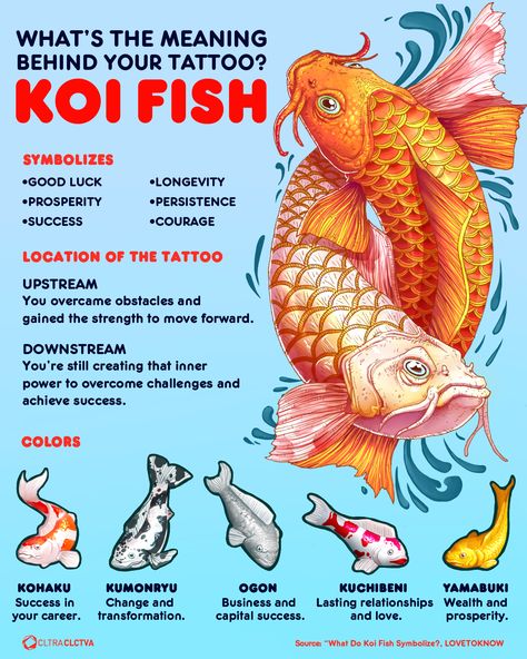 Pez Koi Tattoo, Tattoo Koi Fish, Koi Fish Tattoo Meaning, Coy Fish Tattoos, Japanese Tattoo Meanings, Koi Fish Colors, Tattoo Koi, Carp Tattoo, Japanese Koi Fish Tattoo