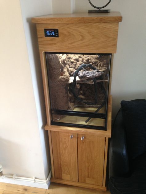 Red Eye Tree frog terrarium build - Reptile Forums Red Eye Tree Frog, Tree Frog Terrarium, Frog Terrarium, Red Eyed Tree Frog, Oak Cabinet, Tree Frog, Vivarium, Red Eye, Tree Frogs