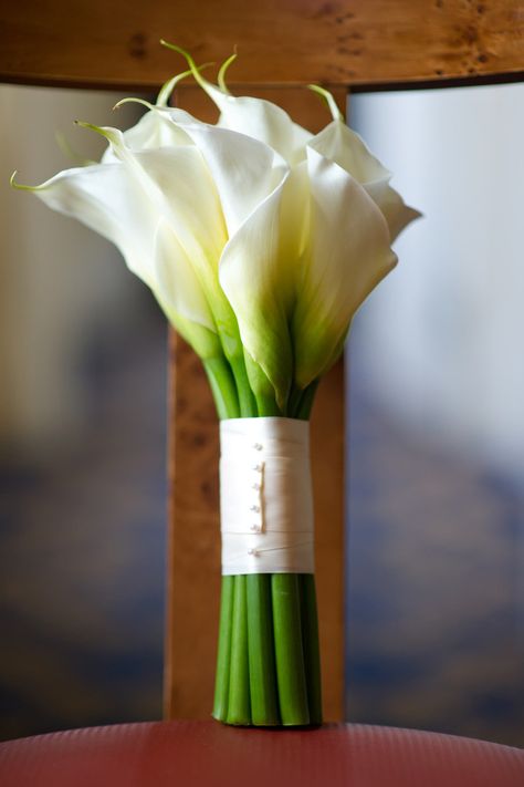 Calla Lillies White Calla Lily Wedding Bouquet, White Calla Lily Bouquet, Lily Bridal Bouquet, Calla Lily Bouquet Wedding, Calla Lily Bridal, Aquarium Wedding, Calla Lily Wedding, Calla Lily Bouquet, Lily Bouquet