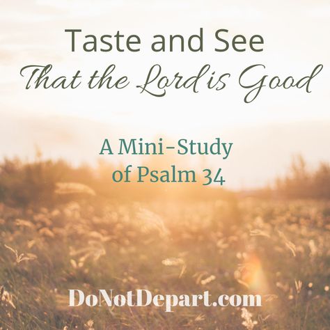 Taste And See The Lord Is Good, Christian Womens Retreat Ideas, Taste And See That The Lord Is Good Art, Taste And See That The Lord Is Good, Bible Quizzing, O Taste And See, Youth Lessons, Childrens Sermons, Verse Mapping