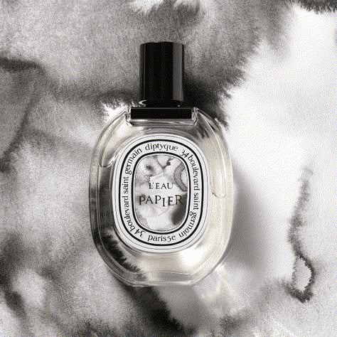 Terms and conditions Natasha Core, Diptyque Perfume, Diptyque Paris, Blonde Wood, Woody Fragrance, Home Scents, Fragrance Collection, Fragrance Design, Artistic Expression