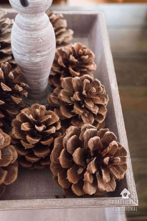 Two easy ways to make cinnamon scented pinecones for your fall home decor this year! This easy fall craft is a great way to add that yummy fall cinnamon scent to your home this season! Cinnamon Pinecones Decor, Cinnamon Scented Pinecones, Pinecones Decor, Cinnamon Pinecones, Cinnamon Scent, Diy Cinnamon, Scented Pinecones, Diy Pinecone, Easy Fall Crafts