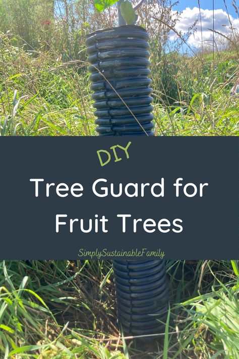 A 5 minute tutorial on how to make an easy tree guard for your apple trees and other fruit trees. This will prevent mice and voles from stripping, girdling, and ultimately killing your fruit trees during the fall and winter months. #appletrees #fruittrees #treeguards Tree Guard Ideas, Homestead Orchard, Trees Backyard, Trees Tutorial, Small Orchard, Tree Guards, Diy Homesteading, Field Mice, Homestead Gardening