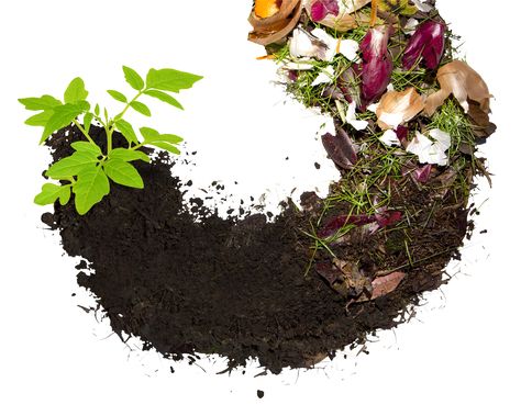 Panning for Black Gold: The Importance of Composting