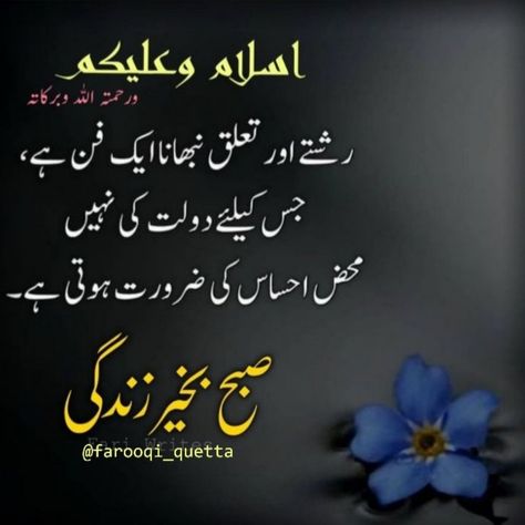 Morning Quotes In English, Subha Bakhair, Subah Bakhair, Motivational Quotes In Urdu, Good Day Messages, Latest Good Morning, Funny Quotes In Urdu, Men Health, Good Morning Roses