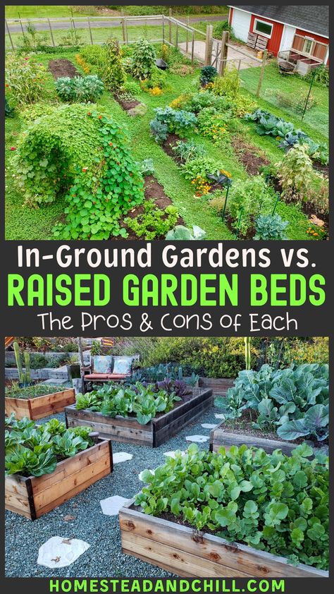 Raised Garden Beds Diy Vegetables, Planning Garden, Taman Diy, Garden Bed Layout, Raised Vegetable Gardens, Garden Layout Vegetable, Gardening Landscaping, Gardening Design, Garden Plots