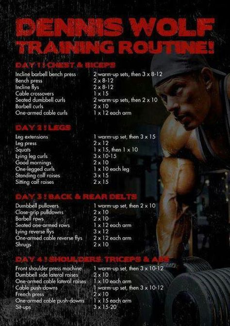 Dennis Wolf Workout Wolf Body Type Workout, Wrestling Conditioning Workouts, Wolf Workout, Vin Diesel Workout, 4 Day Workout Routine, Easy Daily Workouts, Dennis Wolf, Total Body Workout Plan, 4 Day Workout