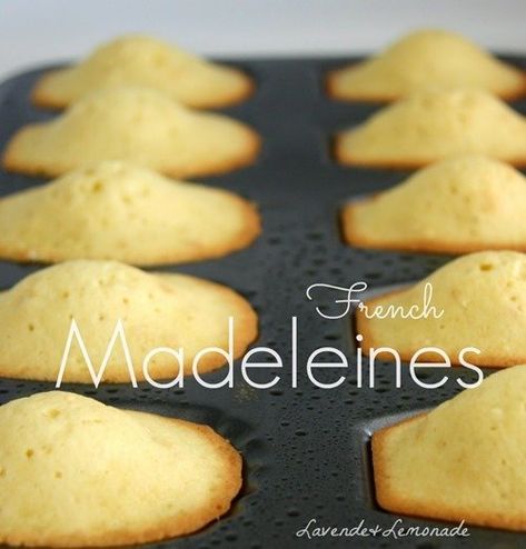 Pastries French, Madeline Cookies Recipe, French Madeleines, Madeline Cookies, Dessert Chef, Madeleine Recipe, French Cookies, Madeleine Cookie, French Desserts