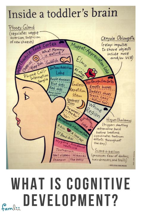 What Does Cognitive Development Mean? Cognitive Development Activities, Early Childhood Education Curriculum, Human Growth And Development, Cognitive Psychology, Cognitive Activities, Forensic Psychology, Behavior Interventions, Childhood Development, Early Childhood Development