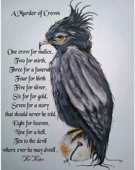 Crow Brings Gifts, Crow Sayings, Crow Rhyme, Crows Poem, Magpie Poem, Magpie Rhyme, Crow Poem, Tattoo Animal, Wiccan Spell Book