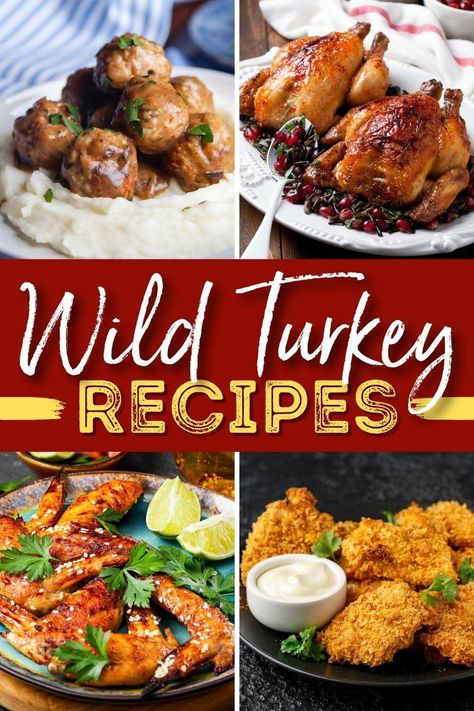 If you think turkey is dry and dull, you need to try these wild turkey recipes. The meat is darker, richer, and much more flavorful than regular turkey. Wild Turkey Recipes Crockpot, Young Turkey Recipe, Turkey Recipes For Dinner, Best Turkey Recipe, Wild Turkey Recipes, Turkey Mince Recipes, Whole Turkey Recipes, Fresh Turkey, Turkey Burger Recipes