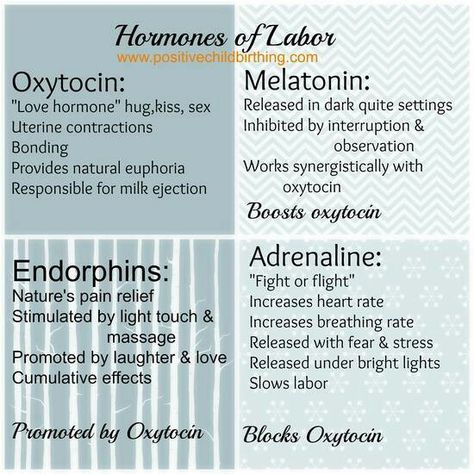 Hormones of labor by www.PositiveChildbirthing.com.  Repinned by http://PregnancyProfessor.com Baby Blog, Baby Grow, Baby Play, Prenatal, Blog Photo, Tennessee, Labor