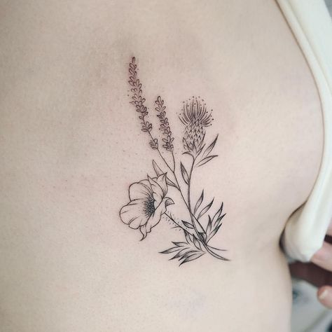 buse kanlikilic on Instagram: “Poppy•Lavender•Thistle 🌾” Thistle And Honeysuckle Tattoo, Thistle Collarbone Tattoo, Poppy And Thistle Tattoo, Thistle And Bee Tattoo, Thistle Bouquet Tattoo, Thistle And Heather Tattoo, Rose And Lavender Tattoo, Scottish Flower Tattoo, Rose And Thistle Tattoo